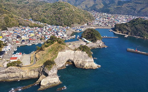 西伊豆絶景ヘリコプタークルージング 搭乗記念フォトフレーム付 オーダーメイドプラン 静岡県西伊豆町 ふるさとチョイス ふるさと納税サイト