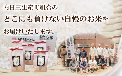 山口 県産 コシヒカリ 米 1kg × 10袋 2022 年度 無洗米 プチギフト