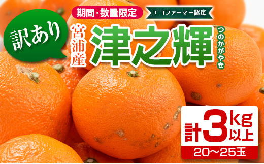 B110-20 訳あり≪数量限定≫津之輝(計3kg以上)　フルーツ　果物　柑橘　みかん