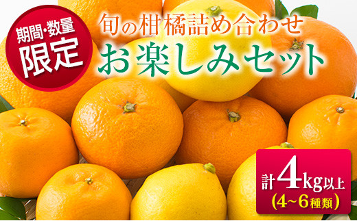 B194-22 ≪数量限定≫旬の柑橘詰め合わせお楽しみセット(合計4kg以上)　フルーツ　果物　みかん　国産