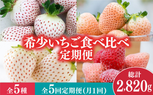 【全5回定期便】白いちご3種と冷凍いちご [IZZ007]