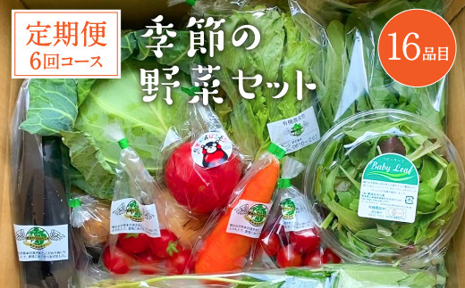 【定期便6回】 季節の野菜セット 16品目