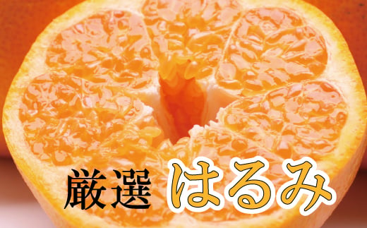 ＜2月より発送＞厳選 はるみ2kg+60g（傷み補償分）【デコポンの姉妹品種・新食感春みかん】【光センサー選別】【ikd048B】 1763532 - 和歌山県すさみ町