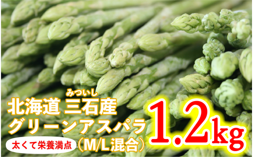 ＜2023年4月下旬より発送＞ 北海道産 グリーンアスパラ M / L 混合 1.2kg ＜予約商品＞