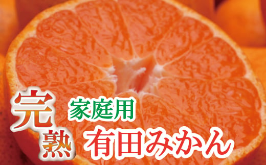 ＜11月より発送＞家庭用 完熟有田みかん10kg+300g（傷み補償分）【わけあり・訳あり】【光センサー選果】【ikd175】 1528607 - 和歌山県すさみ町