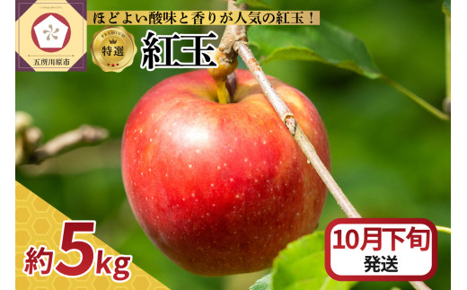 【2025年10月下旬発送】 【特選】りんご 5kg 紅玉 青森