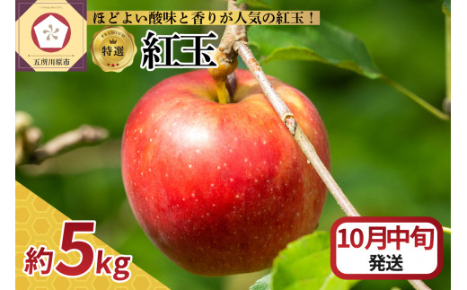 【2025年10月中旬発送】【特選】 りんご 5kg 紅玉 青森 1064696 - 青森県五所川原市