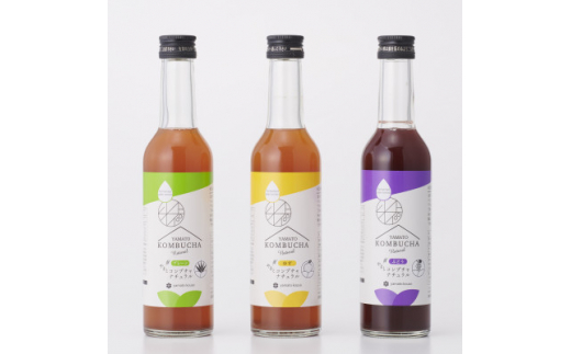 砂糖を使わず「アガベ」で発酵させた「自然素材100%」の3種のコンブチャ　(280ml×12本)【1312537】