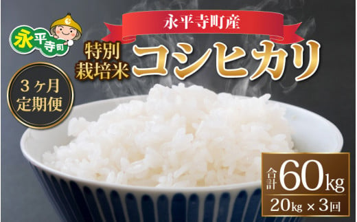 【先行予約】【3ヶ月連続お届け】【白米】 令和6年度産 永平寺町産 農薬不使用・化学肥料不使用 特別栽培米 コシヒカリ 20kg×3ヶ月（計60kg）＊2025年1月20日前後以降発送開始予定[K-033029] 855590 - 福井県永平寺町