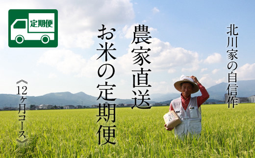 【定期便】(12ヶ月連続お届け)  北川農産直送 お米の定期便 （5kg×12回）さがびより