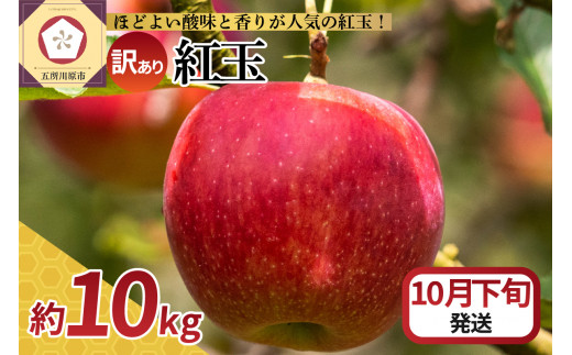 【2025年10月下旬発送】【訳あり】 りんご 10kg 紅玉 アップルパイ に最適 青森 不揃い 1064695 - 青森県五所川原市