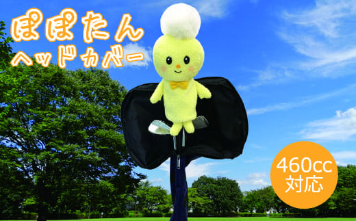 埼玉県朝霞市のキャラクター「ぽぽたん」のゴルフヘッドカバー約38cmの大きさです。