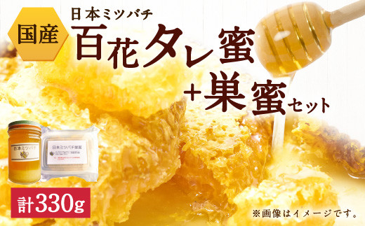 日本ミツバチ タレ蜜・巣蜜セット(タレ蜜180g+巣蜜150g)はちみつ