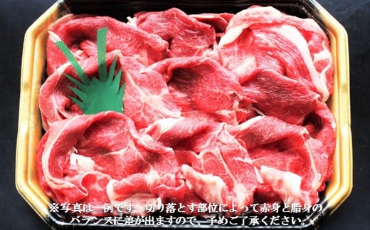 足柄牛【焼肉・しゃぶしゃぶ用】切り落とし500ｇ