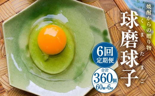 【定期便年6回】 球磨球子 60個入 卵 たまご 鶏卵 800442 - 熊本県人吉市
