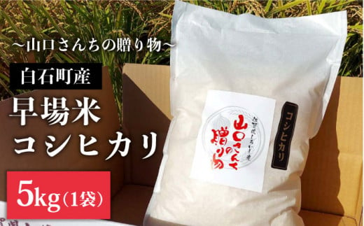 [先行予約][令和6年産新米]特別栽培米 早場米 コシヒカリ 5kg 〜山口さんちの贈り物〜[y'scompany] 