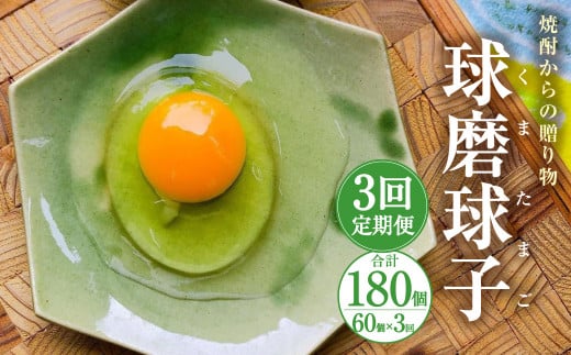 【定期便年3回】 球磨球子 60個入 卵 たまご 鶏卵 800441 - 熊本県人吉市