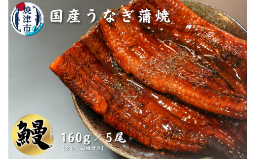 b10-043　【定期便3回】ウナギ蒲焼き(約160g×5尾)