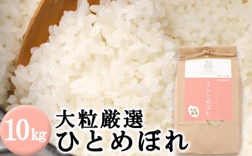 大粒厳選 ひとめぼれ 精米 10kg 【雫石八十八屋】 ／ 米 白米 368628 - 岩手県雫石町