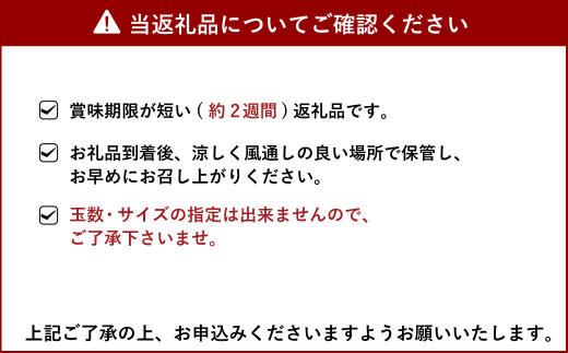 10月上旬～順次発送予定】宇城市産 豊福 約5kg（S～Mサイズ）吉良果樹