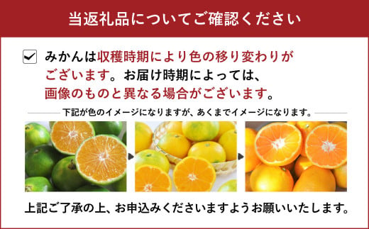 11月下旬～順次発送予定】宇城市産 早生みかん 約10kg（S～2Lサイズ