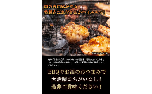 熊本県産 あか牛 焼肉 ホルモン 900g 肉のみやべ《90日以内に順次出荷(土日祝除く)》熊本県産 熊本県 御船町