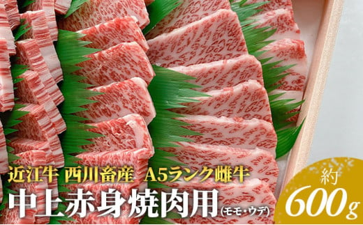 59 0305 近江牛 西川畜産 A5ランク雌牛 中上赤身焼肉用 約600g 滋賀県豊郷町 ふるさとチョイス ふるさと納税サイト