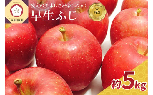 【2024年10月 発送開始】早生 ふじ 特選 約 5kg　りんご　青森 産　 1064715 - 青森県五所川原市