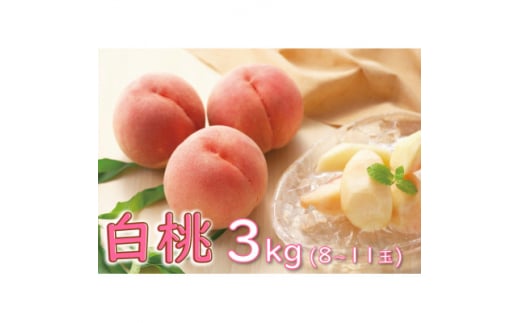 桃　3kg(8玉～11玉)　品種おまかせ　化粧箱 ＜果物/白桃＞【1291670】