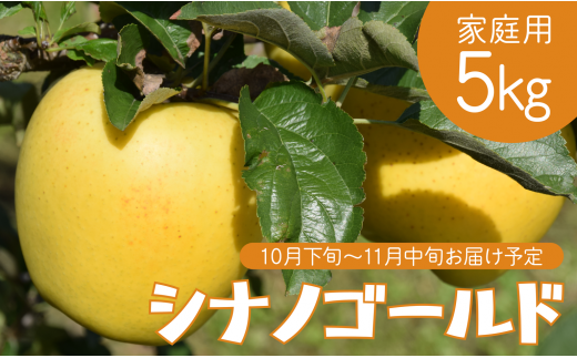 りんご シナノゴールド 家庭用 5kg
