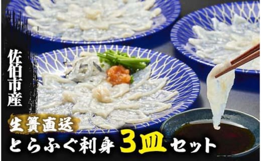 瞬間凍結 ふぐ刺し3皿セット 生簀直送 佐伯養殖とらふぐ 佐伯市佐伯市 ふるさと納税 ふるさとチョイス