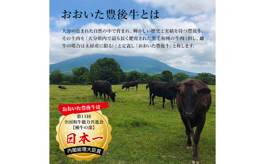 Ｄ－１１３ 【6ヶ月連続定期便】 おおいた豊後牛 サーロイン ステーキ 250g(250g×1)