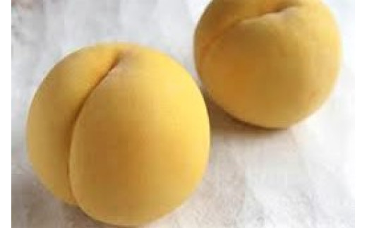 「黄金桃」の表皮は美しい黄色。