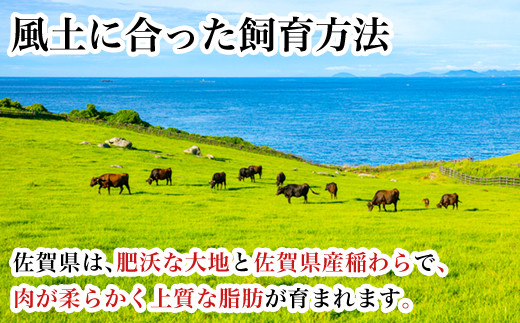 肥沃な大地と佐賀県産稲わらで育て上げた佐賀牛。
とっても柔らかな肉質と上質な脂肪です。