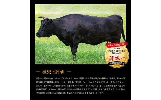 Ｄ－１１５ 【6ヶ月連続定期便】おおいた豊後牛 リブロース ステーキ 250g(250g×1)
