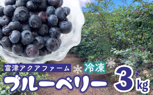 富津アクアファーム　冷凍ブルーベリー3kg（1kg×3袋） 1271545 - 千葉県富津市