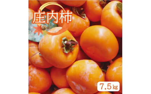 SA2076　庄内柿　約7.5kg
