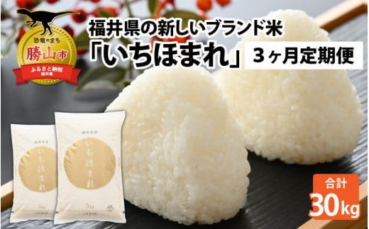 【3ヶ月連続定期便】令和6年産 福井県の新しいブランド米 いちほまれ5kg ×2袋（10kg × 3ヶ月） [H-015002] 720242 - 福井県勝山市