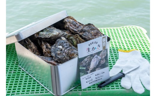 カンカン焼きセット 広島 殻付き牡蠣 約20個 マルミ水産【配送不可：離島】
