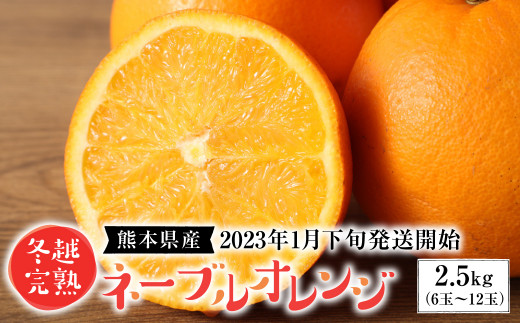 熊本県産 冬越完熟 ネーブルオレンジ 2.5㎏ 柑橘