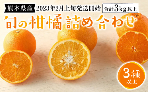 熊本県産 旬の 柑橘 詰め合わせ 3種以上 3kg以上 甘夏 河内晩柑 パール柑 ネーブル 不知火※画像はイメージです