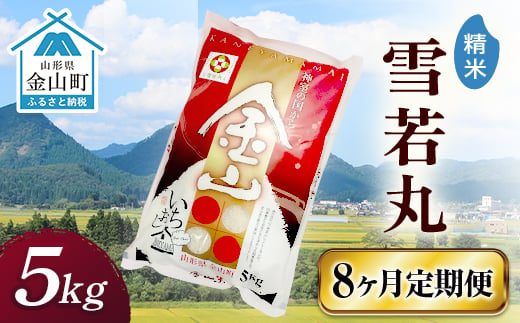 令和6年産 金山産米「雪若丸【精米】」（5kg）×8ヶ月・定期便 計40kg 定期便 8ヶ月 米 お米 白米 ご飯 精米 ブランド米 雪若丸 送料無料 東北 山形 金山町 F4B-0554 469551 - 山形県金山町