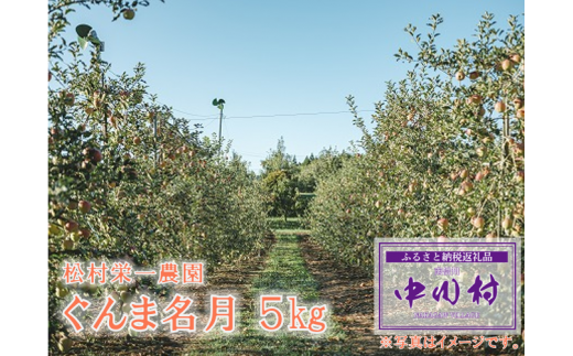 松村栄一農園のりんご　ぐんま名月　約5kg　10月下旬発送