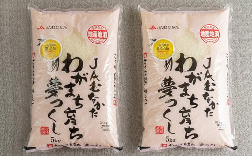 【令和5年産】福岡の美味しいお米 夢つくし 5kg×2袋 合計10kg 1079387 - 福岡県太宰府市
