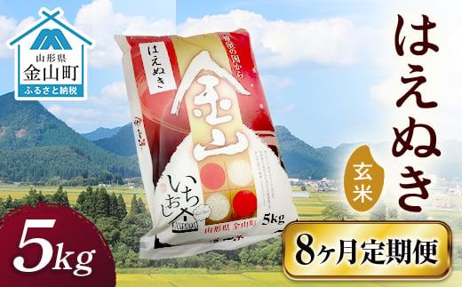 令和6年産《定期便》 金山産米 はえぬき【玄米】（5kg）×8ヶ月計40kg 定期便 8ヶ月 米 お米 ご飯 玄米 ブランド米 送料無料 東北 山形 金山町 F4B-0527 469539 - 山形県金山町