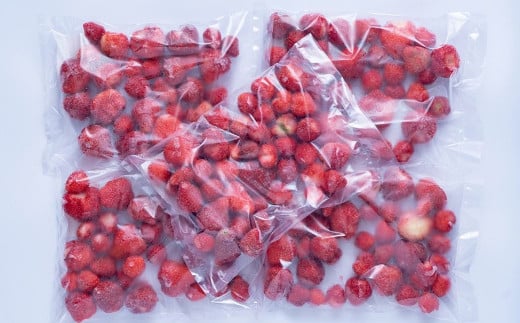 福岡県産 冷凍あまおう 500g×5 合計2.5kg いちご 苺 あまおう フルーツ 冷凍 国産