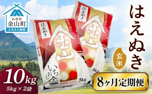 令和6年産《定期便》 金山産米 はえぬき【玄米】（5kg×2袋）×8ヶ月計80kg 定期便 8ヶ月 米 お米 ご飯 玄米 ブランド米 送料無料 東北 山形 金山町 F4B-0529 469547 - 山形県金山町