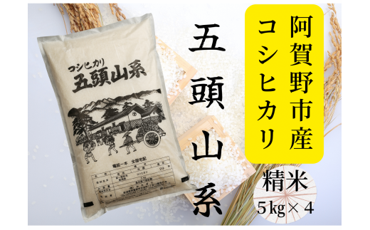 【新米】「米屋のこだわり阿賀野市産」コシヒカリ どーんと20kg (5kg×4袋)！ 1E03041 371403 - 新潟県阿賀野市