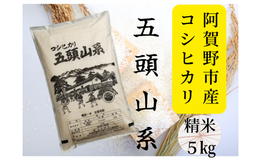 【新潟産コシヒカリ】 5kg 「五頭山系」 米屋のこだわり阿賀野市産 米屋かたぎり 1E01009