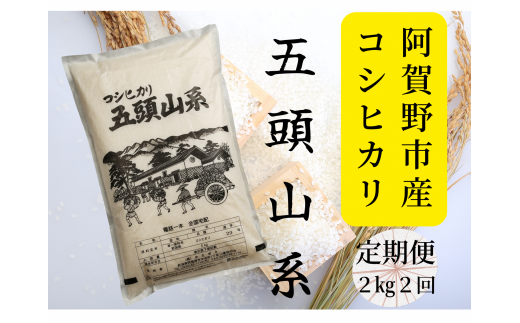 新潟産コシヒカリ】 5kg 「五頭山系」 米屋のこだわり阿賀野市産 米屋
